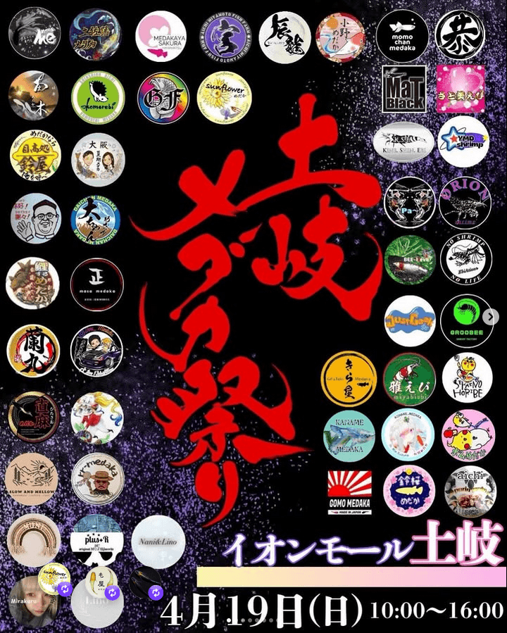 メダカ販売イベントのフライヤー広告(2026年4月