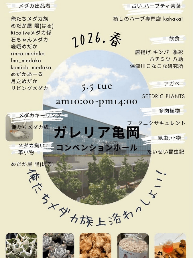 メダカ販売イベントのフライヤー広告(2026年5月