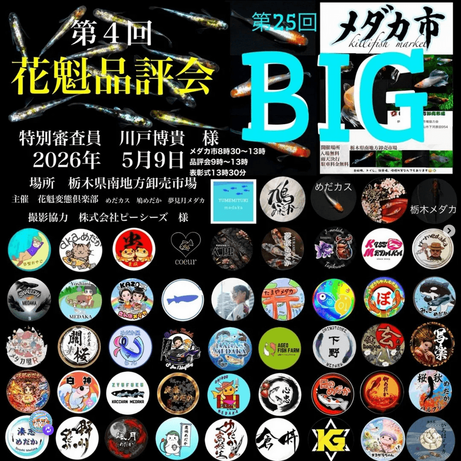 メダカ販売イベントのフライヤー広告(2026年5月