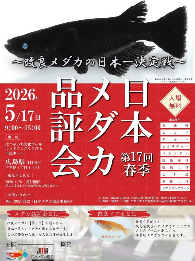 メダカ販売イベントのフライヤー広告(2026年5月