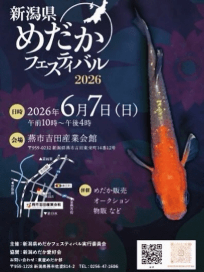 メダカ販売イベントのフライヤー広告(2026年6月）
