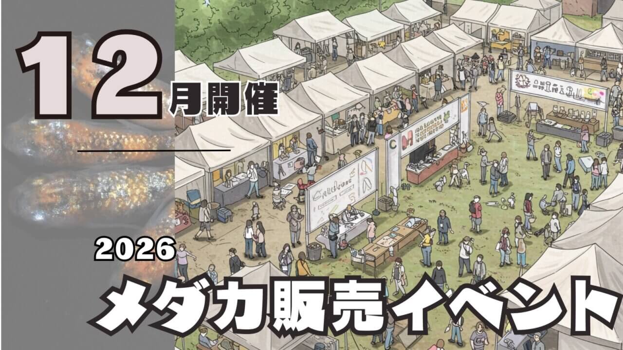 2026年12月開催のメダカ販売イベントのアイキャッチ