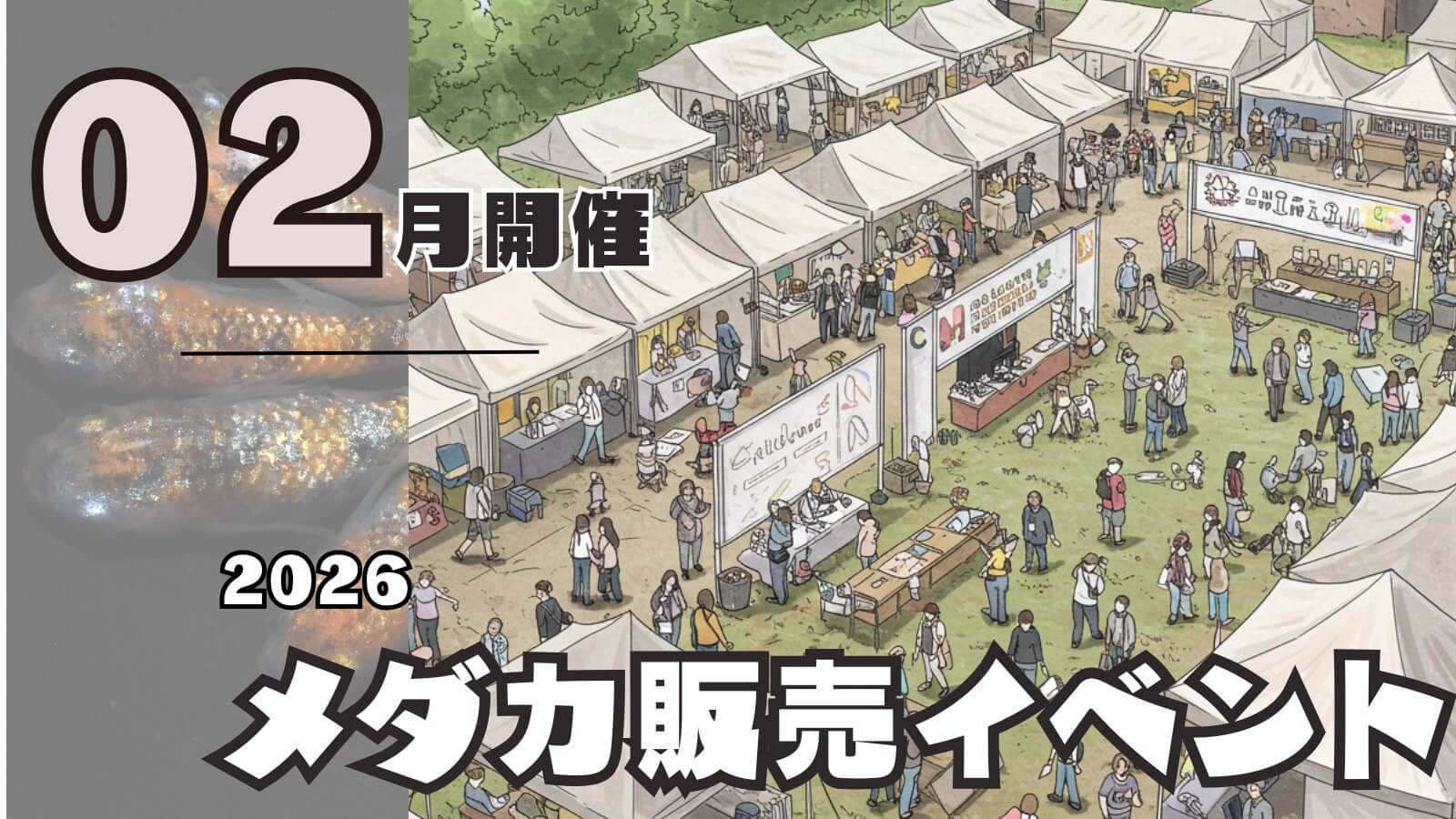 2026年2月開催のメダカ販売イベントのアイキャッチ