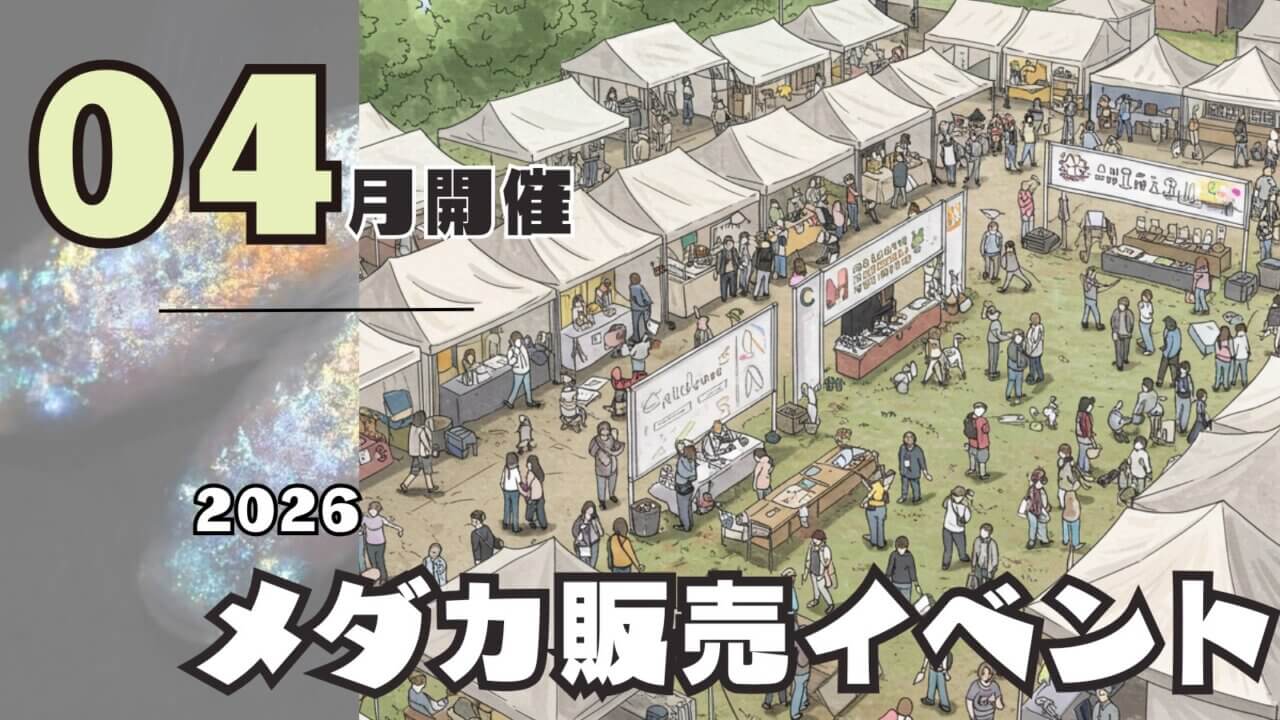 2026年4月開催のメダカ販売イベントのアイキャッチ