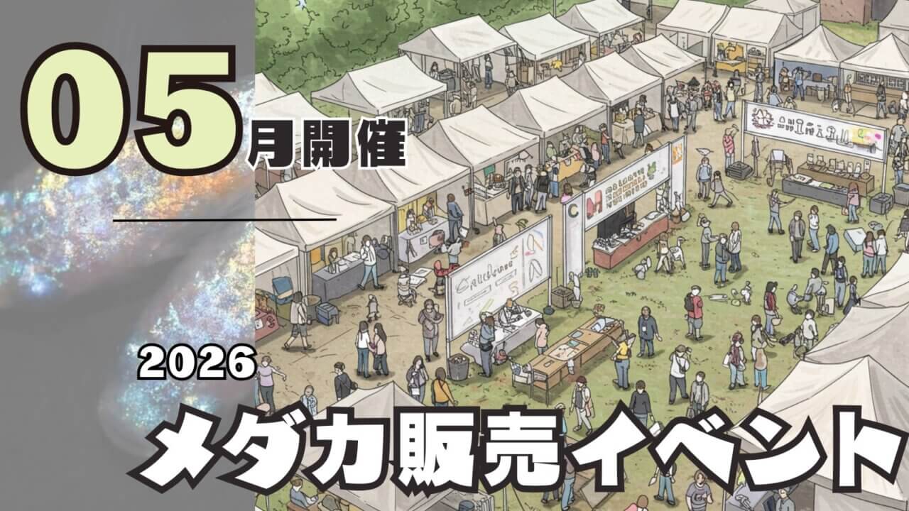 2026年5月開催のメダカ販売イベントのアイキャッチ