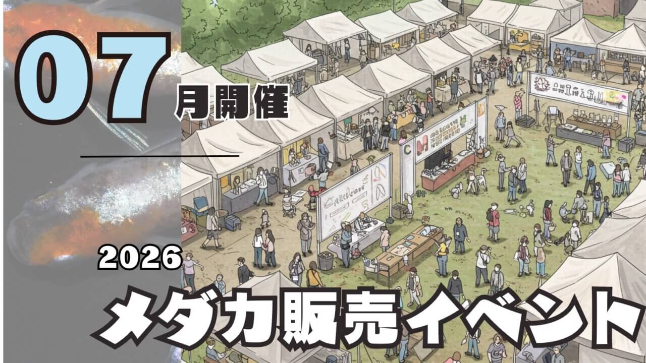 2026年7月開催のメダカ販売イベントのアイキャッチ