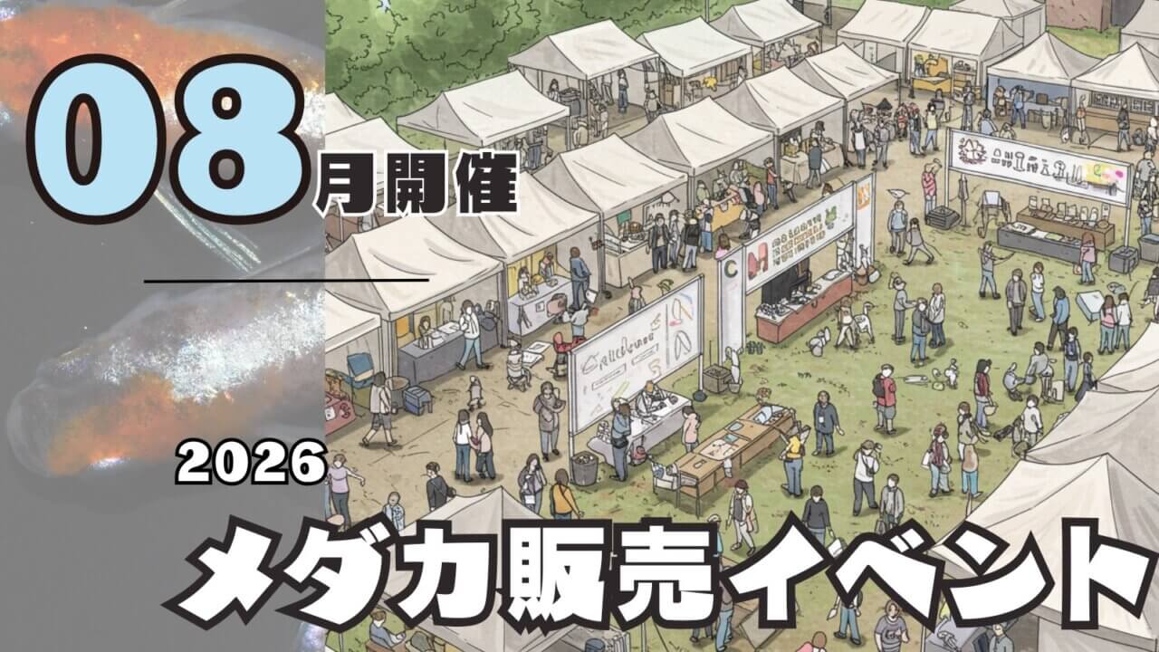 2026年8月開催のメダカ販売イベントのアイキャッチ