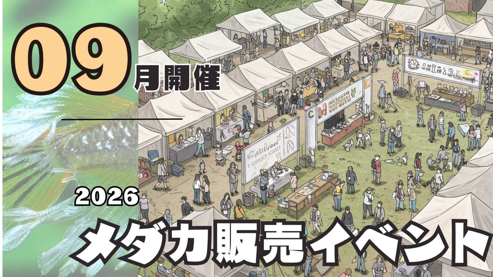 2026年9月開催のメダカ販売イベントのアイキャッチ