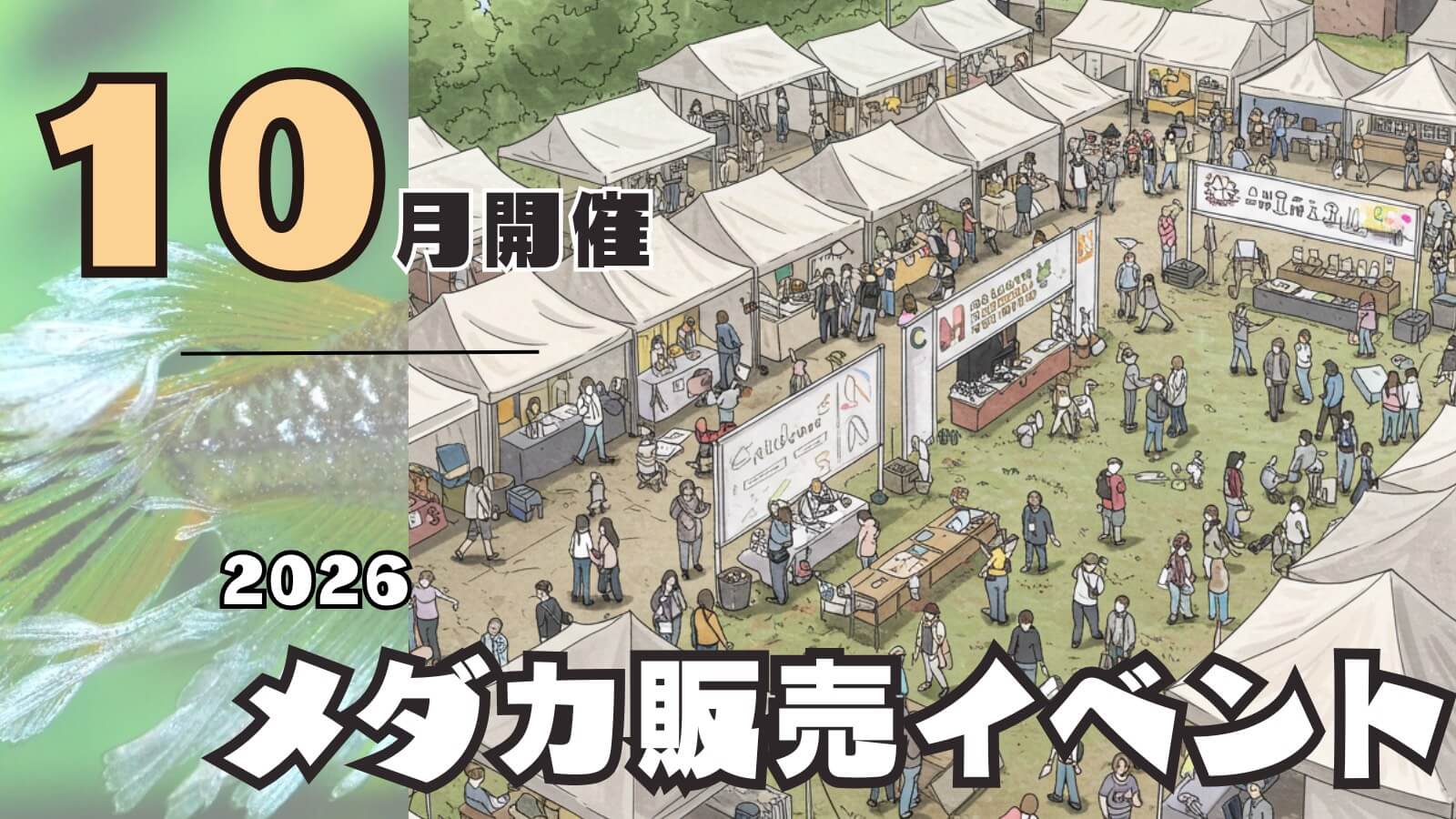 2026年10月開催のメダカ販売イベントのアイキャッチ